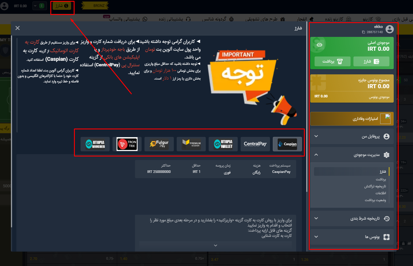روش‌ های شارژ حساب و برداشت وجه الوین بت